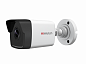 HiWatch DS-I250M(B) (2.8 mm)