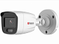 HiWatch DS-I250L (4 mm)